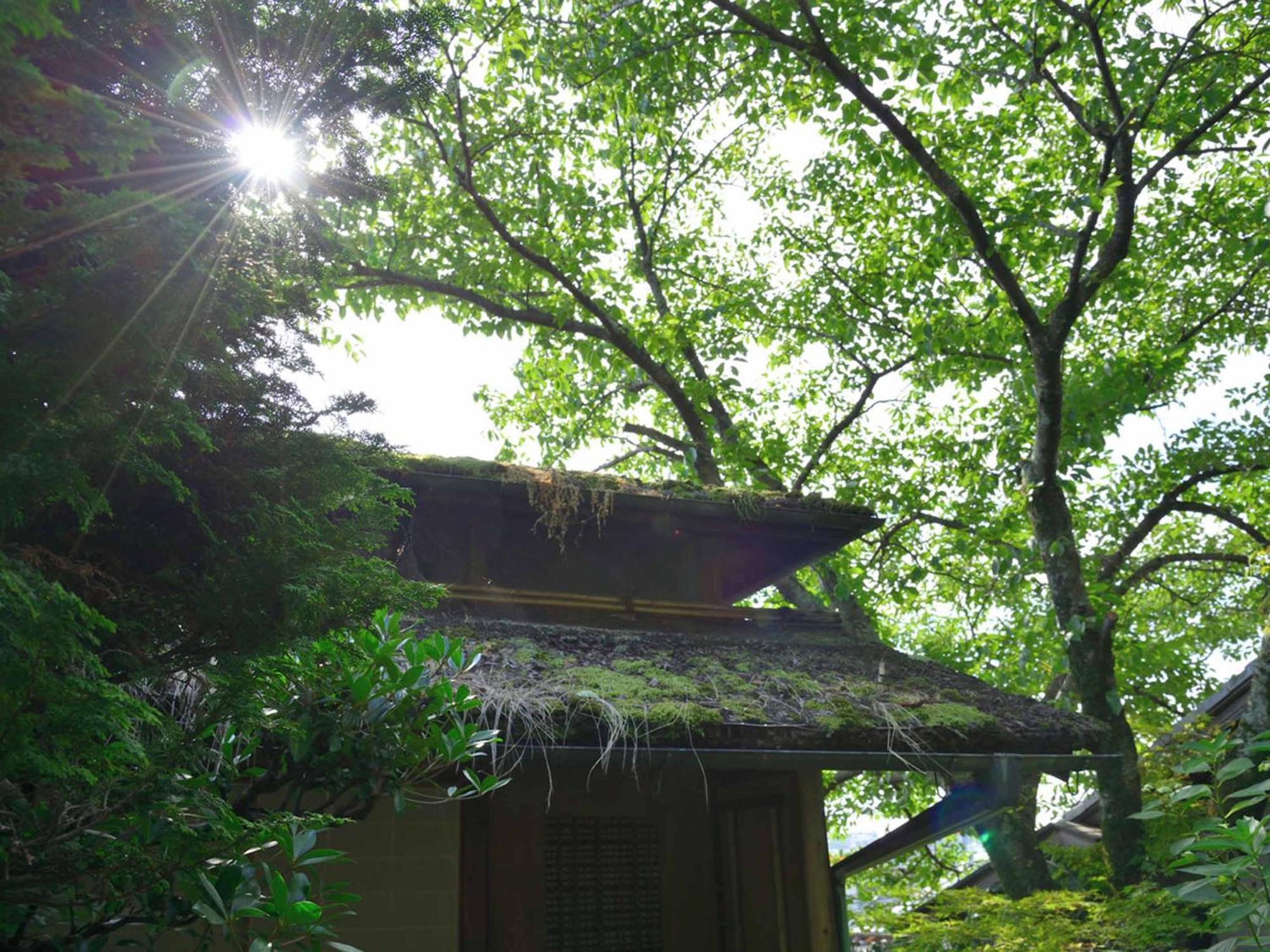 Hotel Bingoya Kurashiki Zewnętrze zdjęcie