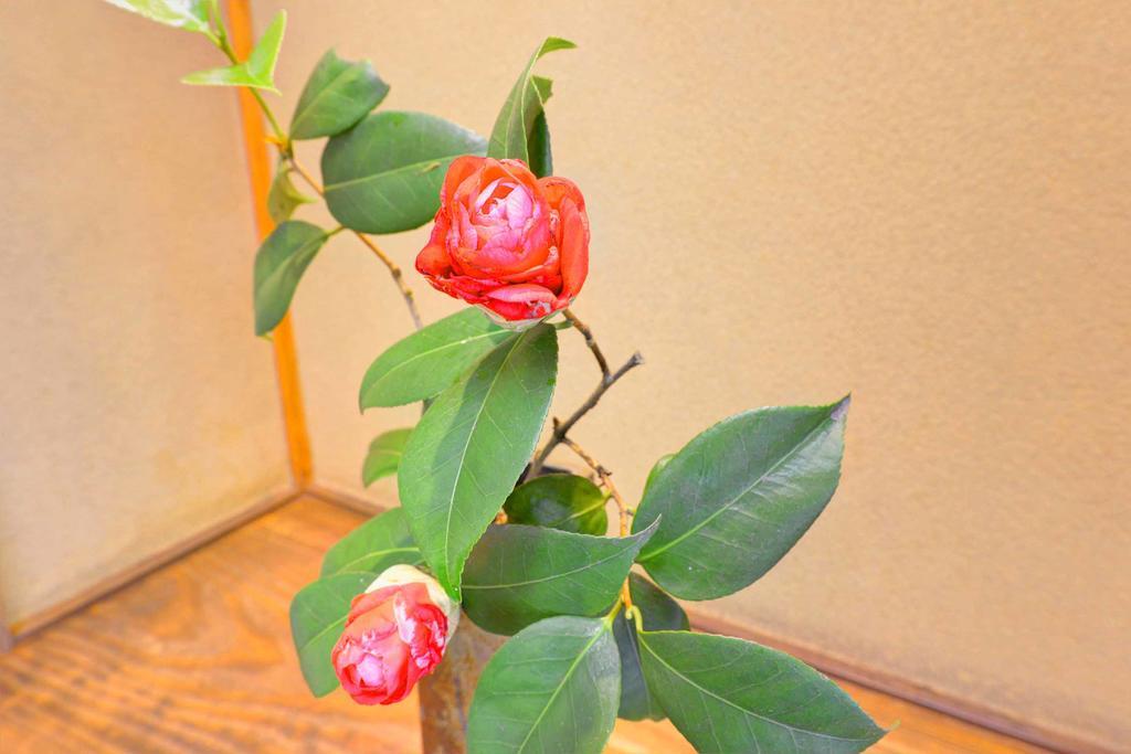 Hotel Bingoya Kurashiki Zewnętrze zdjęcie